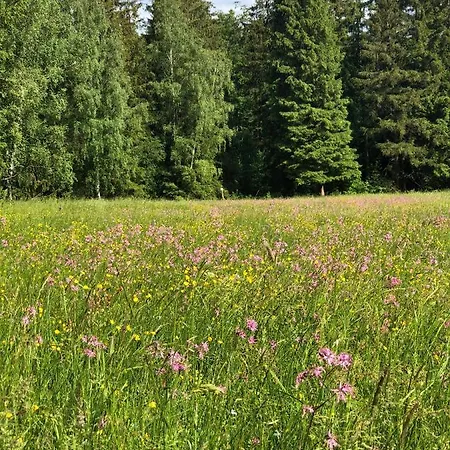 Vakantiehuis Casa „ella“ Friedrichroda