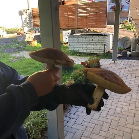 Prázdninový dům Casa „ella“