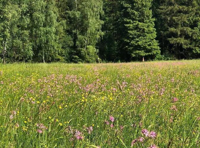 Prázdninový dům Casa „ella“ Friedrichroda
