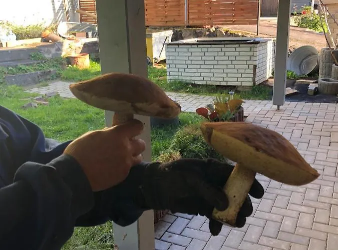 Prázdninový dům Casa „ella“