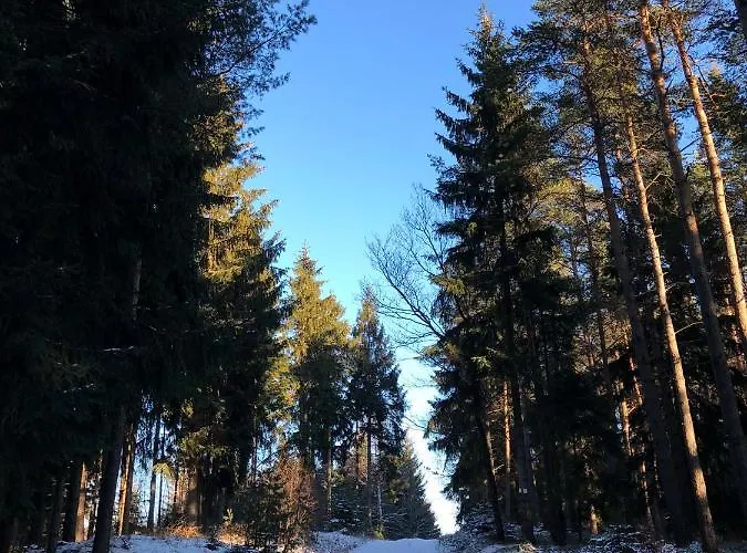 Casa „ella“ Friedrichroda